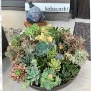 chaneの画像