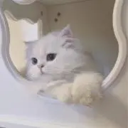 みの画像