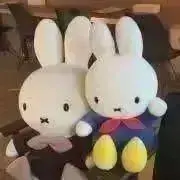 なゆた　✳︎プロフ読んでね✳︎の画像