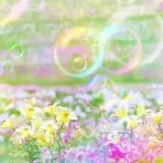 よまの画像