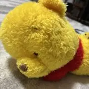 ユズの画像