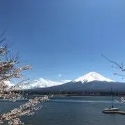 Koshiishi