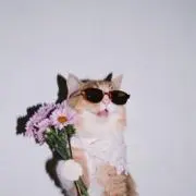 ミオ