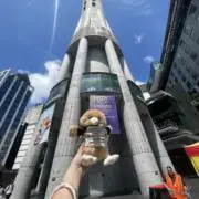 ぽんずの画像