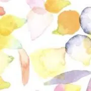 モコ