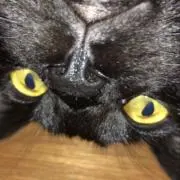 坂井の画像