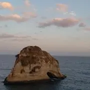 ホレイショの画像