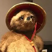 まるさんの画像