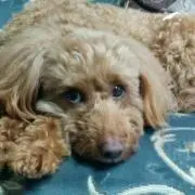 ヒロ