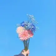秋の画像