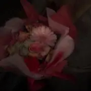 ちゃその画像