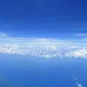 くらげの画像