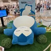 ぼよちゃんの画像