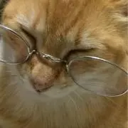 マイケル