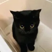 なちの画像
