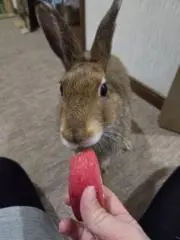 あっこママ☆