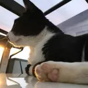 わか◎ぷろふ必読