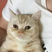 Kunicatの画像