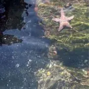 ㅁㅇの画像