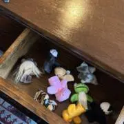 さしみの画像