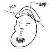 ヤマヒロの画像