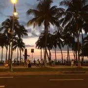セリーナゴンザレスの画像