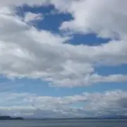 カート交番の画像