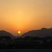 さくの画像