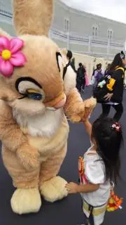 さゆ