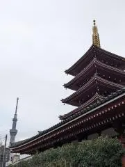 じゃがじゃがの画像