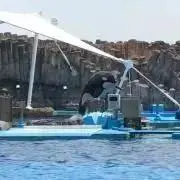 ピンクベージュの画像