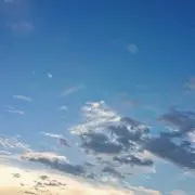Tamateの画像