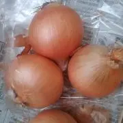 はっちーの画像