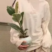 suuの画像