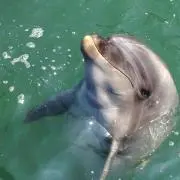 でこぼこ