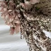 aimyの画像