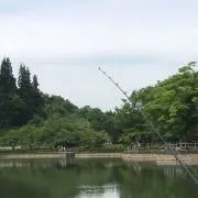 naturalの画像
