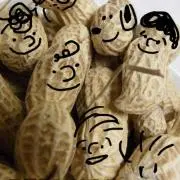 ピーナッツ☆の画像
