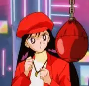 けんぷよの画像