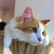 ✨ララ✨プロフ必読❗️