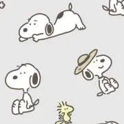 ぱふこの画像