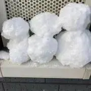 まるこ2の画像