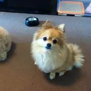 あいの画像