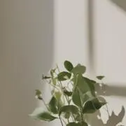 ^_^の画像