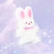 ぴの画像
