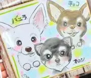 こうママ