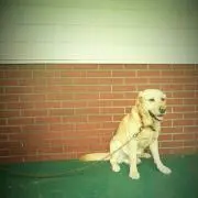 ちゃん