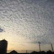 ちいの画像