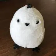 sayuriの画像