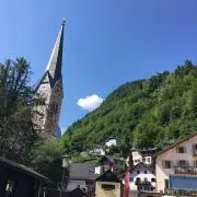 なーちゃんの画像